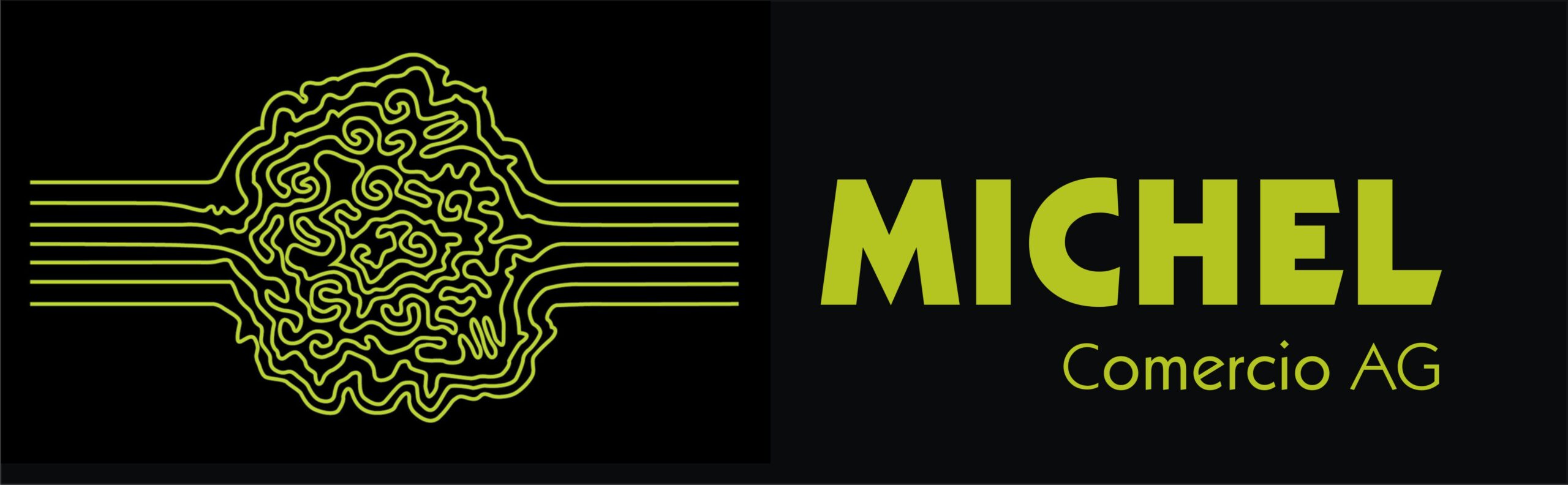 Logo Michel Weinshop Brienz
